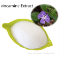 Factory price vincamine Extract ingredients powder for sale